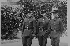 31693176_1664242913660949_112784204810420224_n